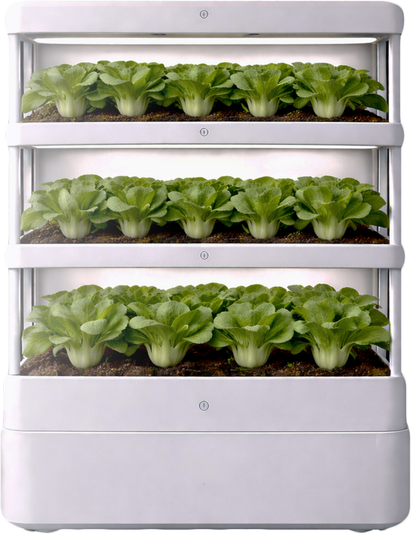 Multi-Layer Indoor Growth System