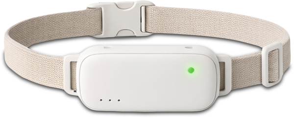 Smart GPS Pet Tracking Collar
